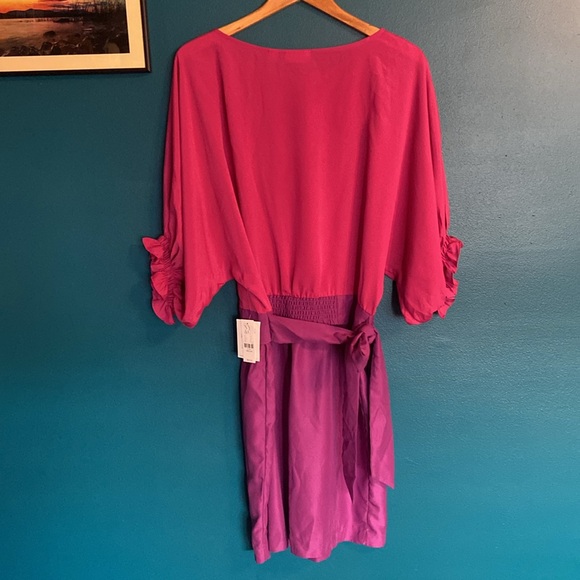 New York & Company Color-block Dolman Ruffle Sleeve Midi Dress - Picture 9 of 13